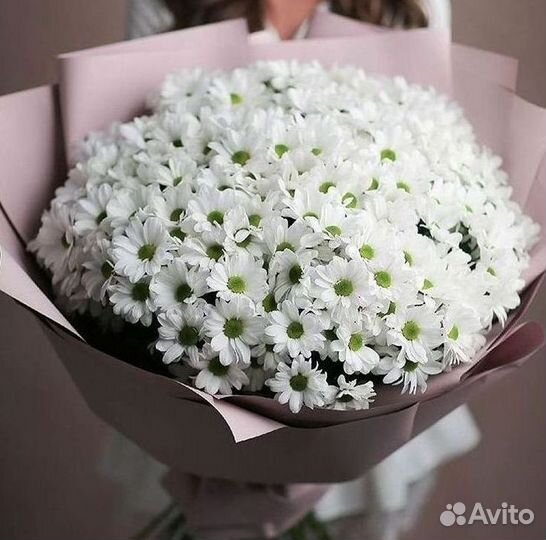 Хризантема Букеты с доставкой