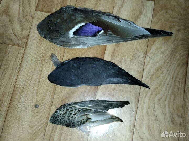 Заказ для Виктории