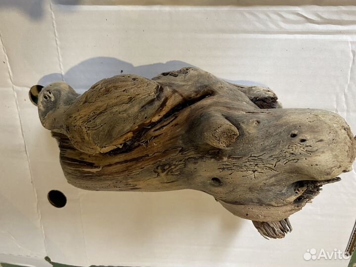 Коряги аквариум террариум дрифт вуд морской топляк