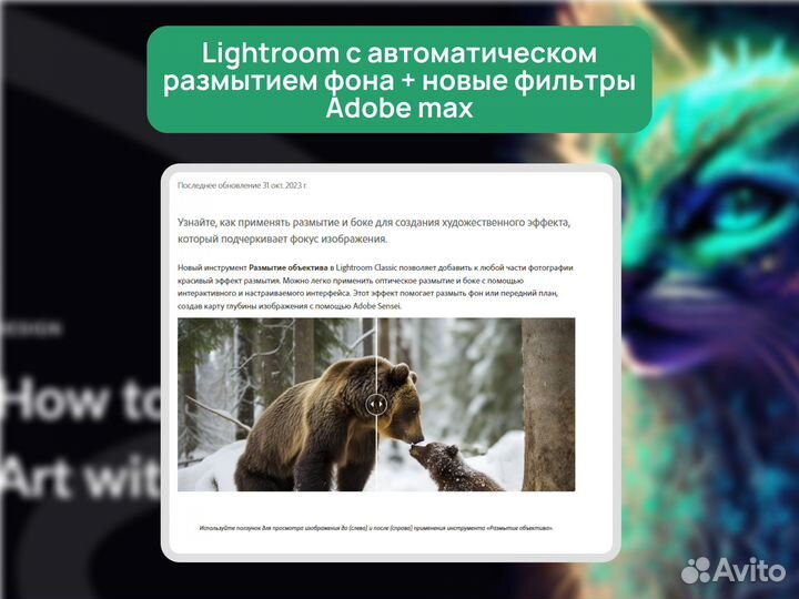 Лайтрум + Фотошоп 25.3, подписка 365 дней