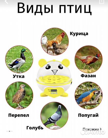 Инкубатор для яиц автоматический бу