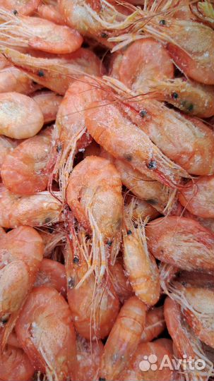 Азовская креветка