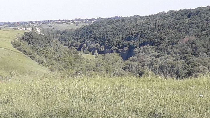 Участок 15 сот. (ИЖС)