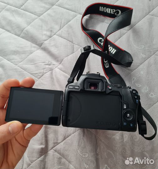 Фотоаппарат Canon eos 250d