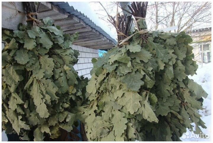 Веник банны дубовый