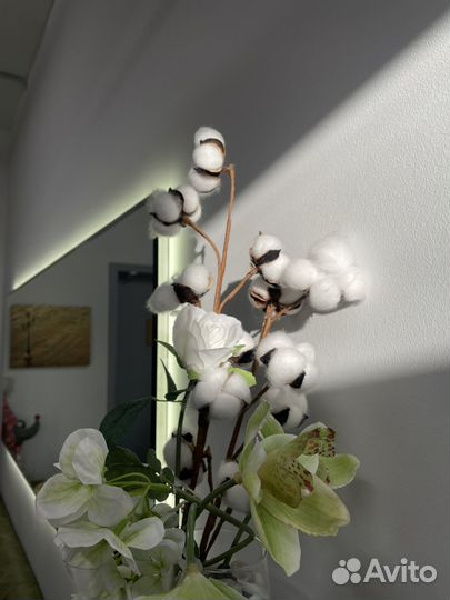 Оформление бровей, ламинирование ресниц