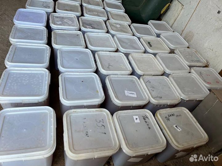 Мед оптом. Таежный мёд