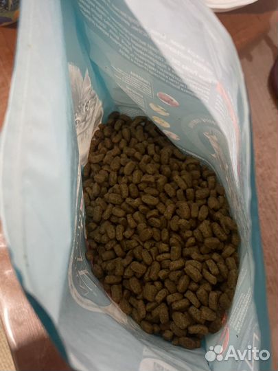 Корм для животных