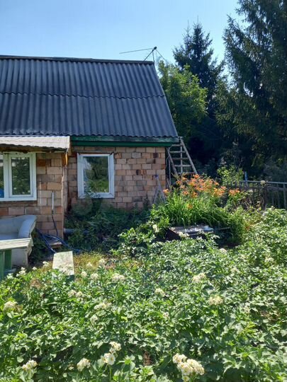 Дом 25 м² на участке 5 сот.