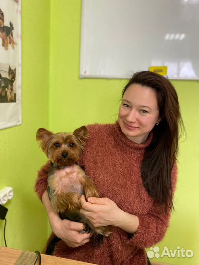 Грумер стрижка собак