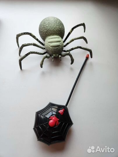 Паук на пульте управления