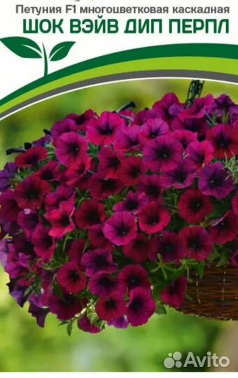 Петунья ампельная и каскадная