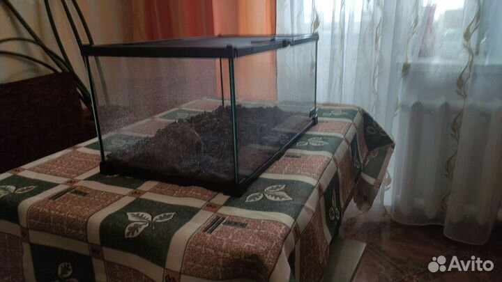 Террариум для рептилий