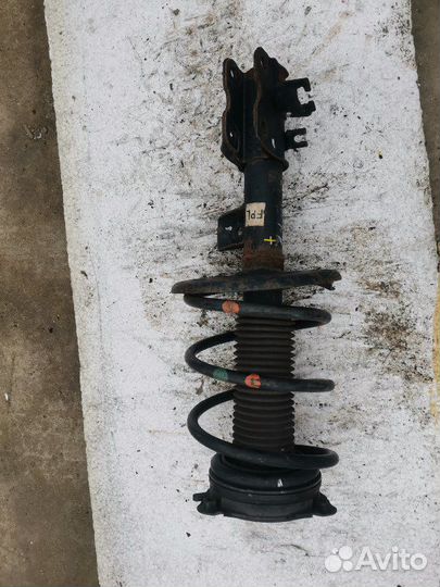 Стойка передняя левая Nissan Teana J32