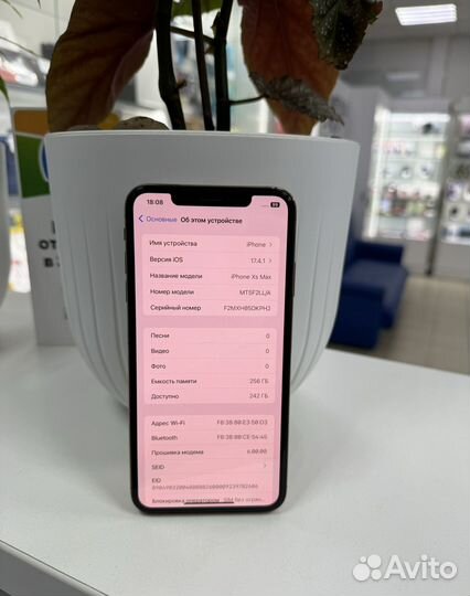 iPhone Xs Max, 256 ГБ