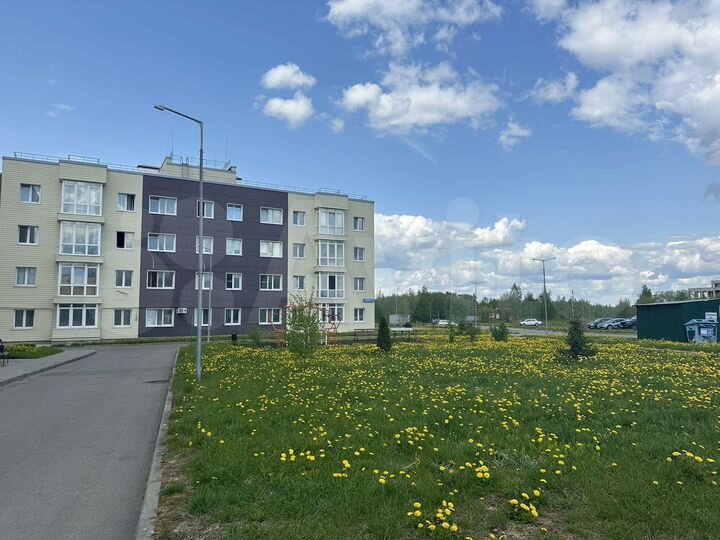 3-к. квартира, 79,7 м², 2/4 эт.