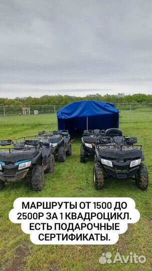 Прокат Квадроциклов