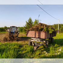 Вывоз мусора. Услуги трактора мтз 82, Судогда