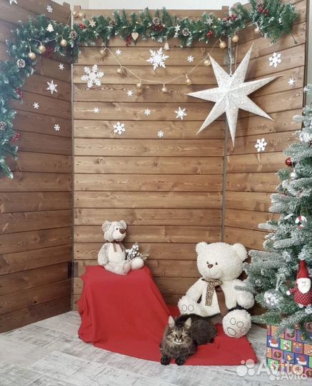 Фотозона в аренду