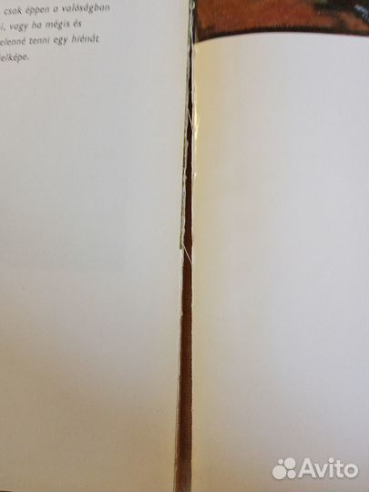 Охота и живопись