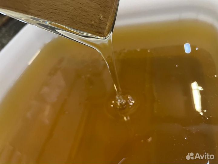 Акациевый мед оптом