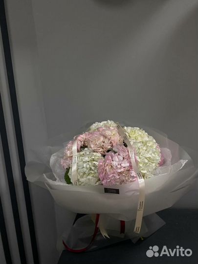 Гортензия, доставка Астрахань