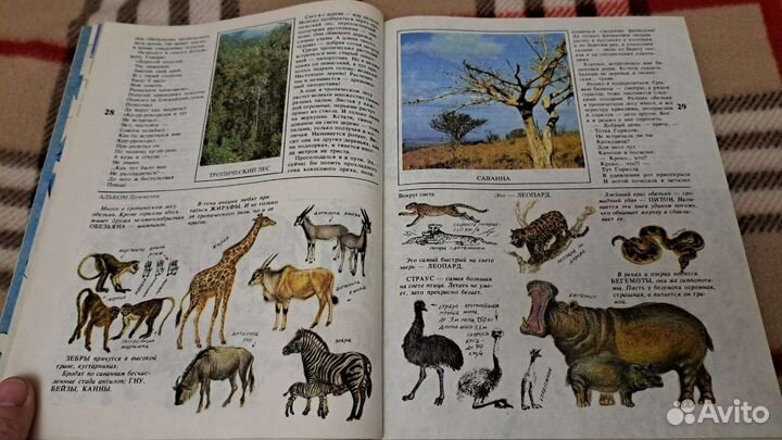 Книги для детей 