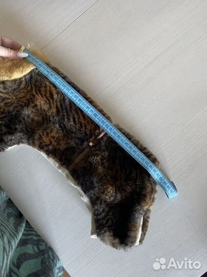 Одежда для собак той-терьер шубка зимняя