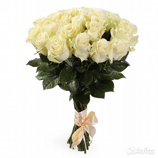 Цветы тюльпаны