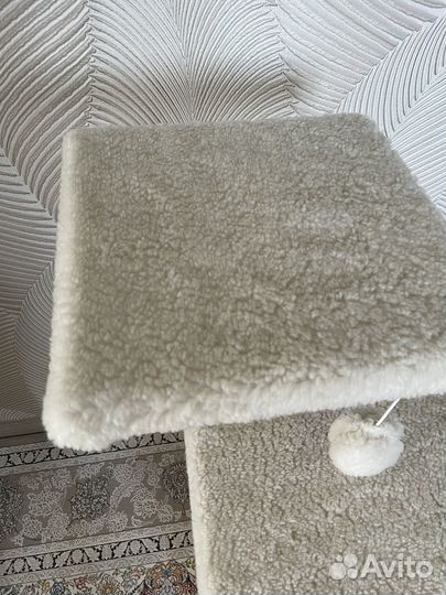 Когтеточка