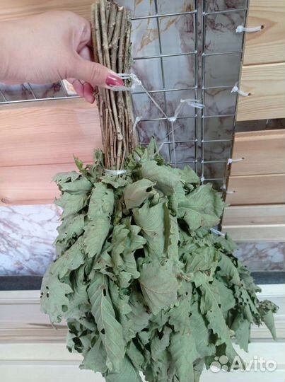 Дубовые веники для бани