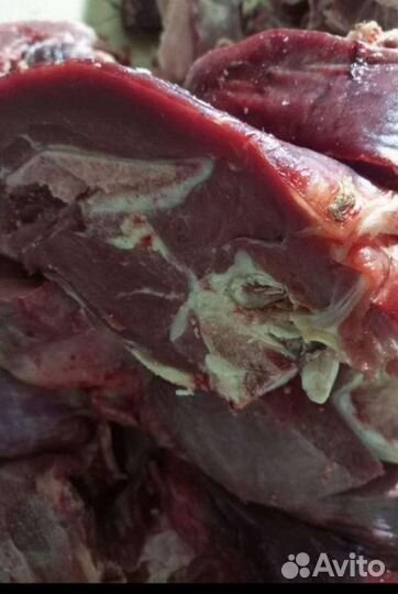 Мясо говядины и телятины домашняя на 15-20сентябр