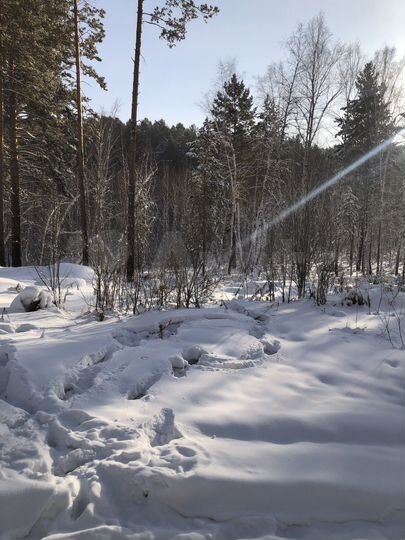 Участок 8 сот. (СНТ, ДНП)