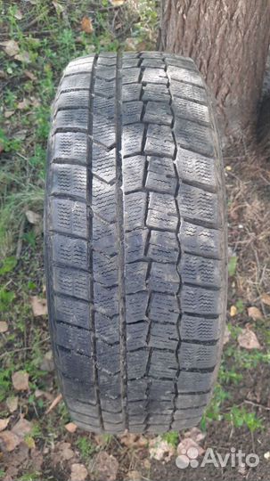 Dunlop Winter Maxx 195/55 R16 91