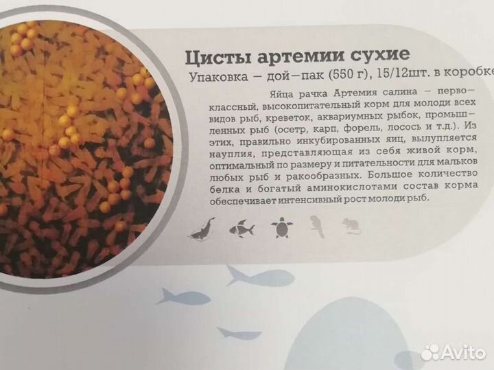 Корма для рыб:артемия, дафния,гаммарус и др