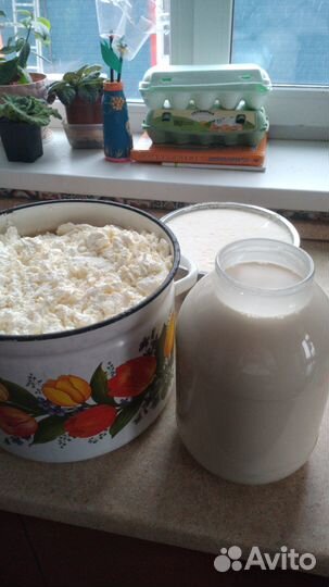 Молоко коровье и молоко козье домашнее