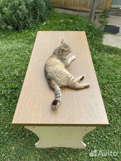 Скамья и стол из дерева