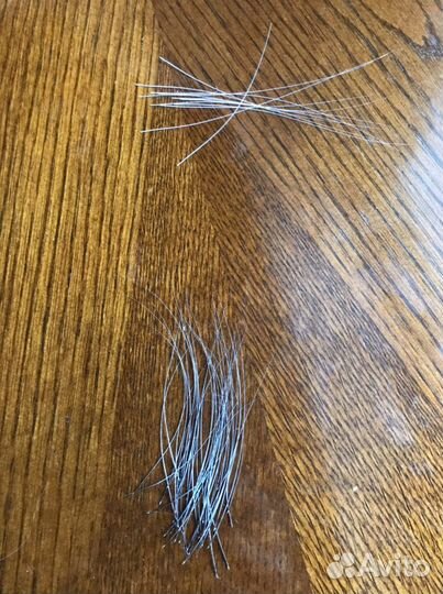 Кошачьи усы