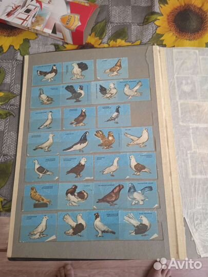 Альбом с марками