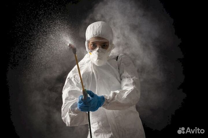 Барнаул Уничтожение Осы Тараканы Клопы Блохи Мыши