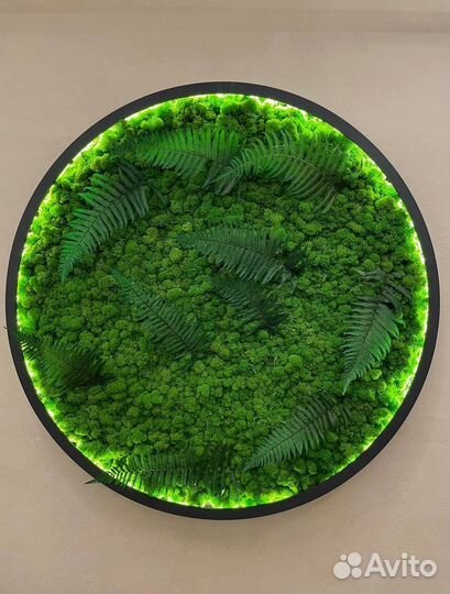 Картины из мха/ фитостена/ фитопанно/ озеленение