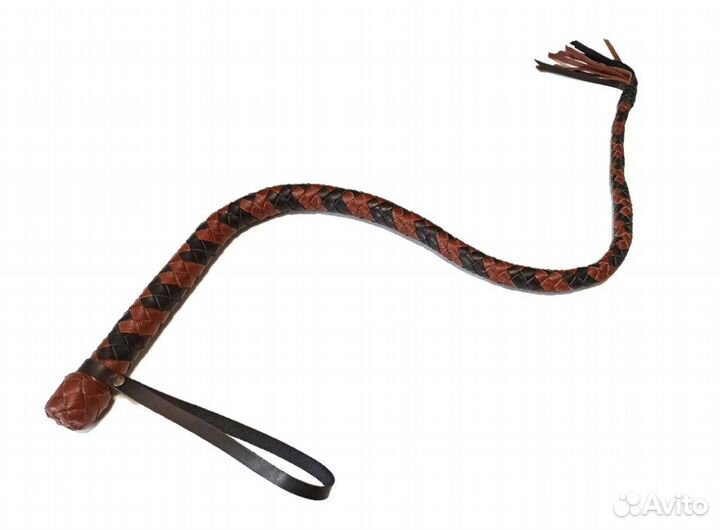 Плеть Сетчатая Змея