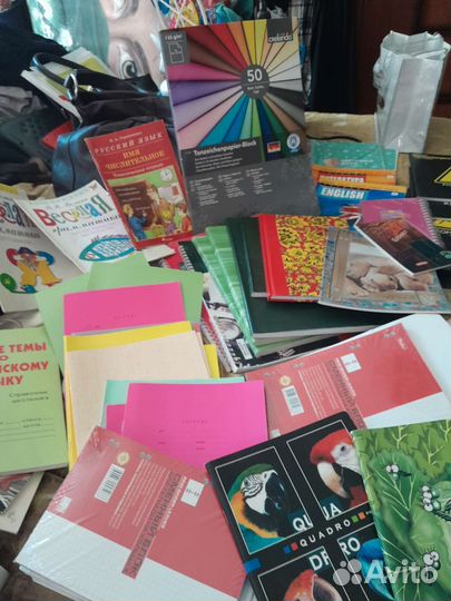 Тетради рабочие и тонкие и пособия