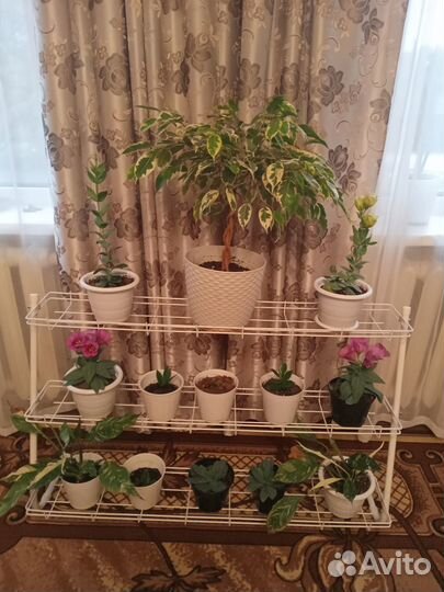 Подставка для рассады и цветов на подоконник