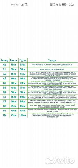 Комбинезон для собак ForMyDogs