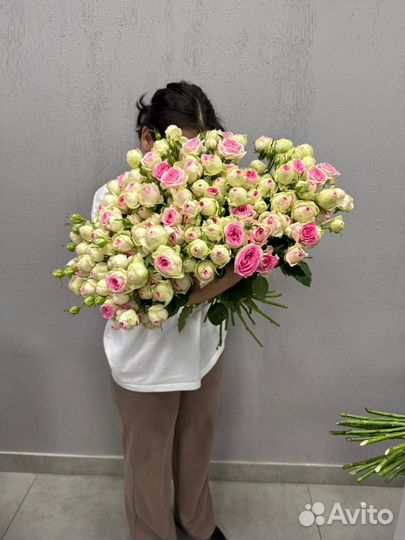 Цветы пионовидные розы