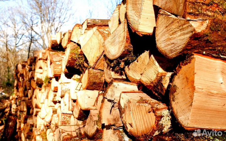 Дрова которые можно разжечь