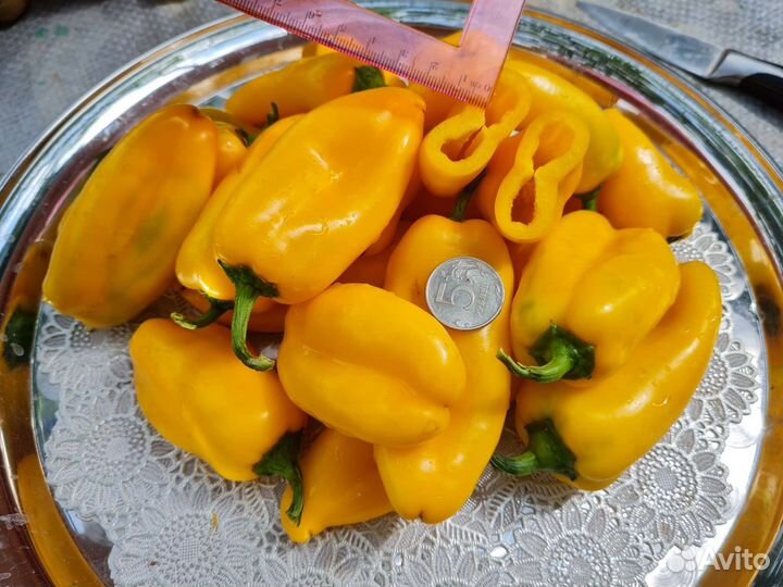 Семена сладкого перца