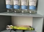 Пустые бутылки из под виски The Glenlivet