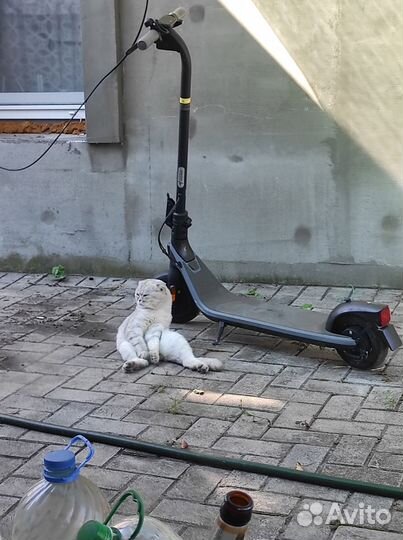 Электросамокат ninebot kickscooter e2